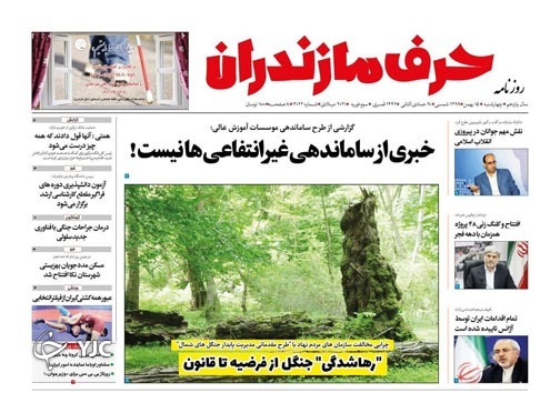 رها شدگی جنگل از فرضیه تا قانون / خبری از ساماندهی غیرانتفاعی&zwnj;ها نیست!