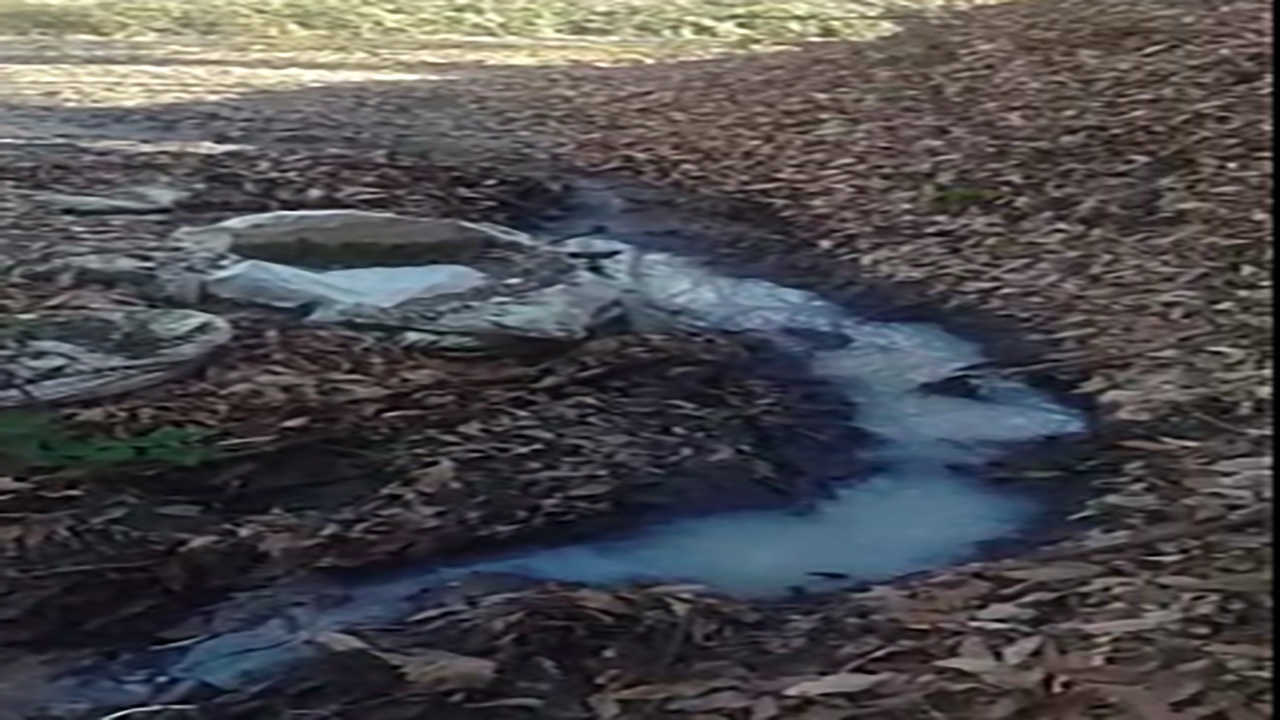 فیلمی از آلودگی طبیعت در روستای کوهسنگی فیلمی از آلودگی طبیعت در روستای کوهسنگی