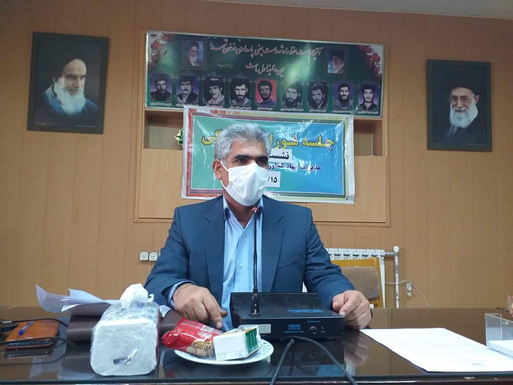 بیش از ۶ هزار هکتار در نهاوند زیر کشت گیاهان دارویی