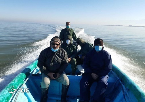 جدال پرنده و مرگ در میانکاله