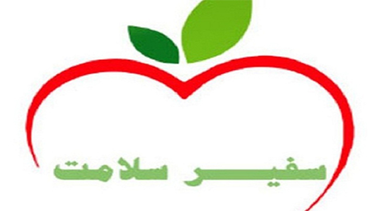 ۱۴۰ هزار سفیر سلامت خانوار در بوشهر فعال هستند