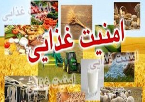 بازار حلقه&zwnj;ای که میتواند مفقوده نباشد؛ وقتی کشاورزی قراردادی به کمک تولید کننده می&zwnj;آید/// کشاورزی قراردادی حلقه مفقوده جهش تولید