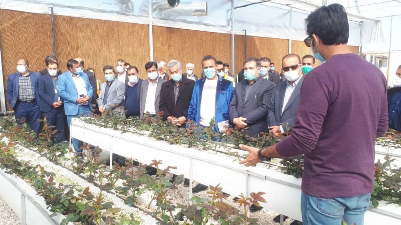 بهره برداری از دو واحد گلخانه در سپیدان