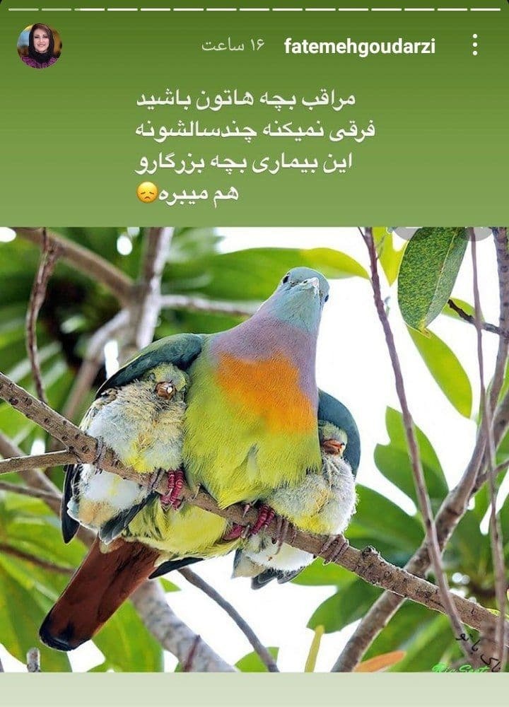 استوری جدید فاطمه گودرزی