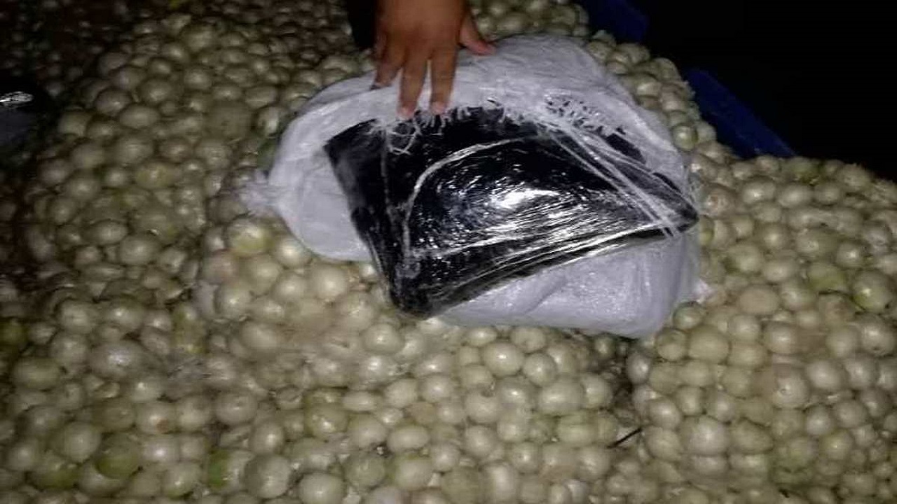 کشف بار تریاک در محموله پیاز