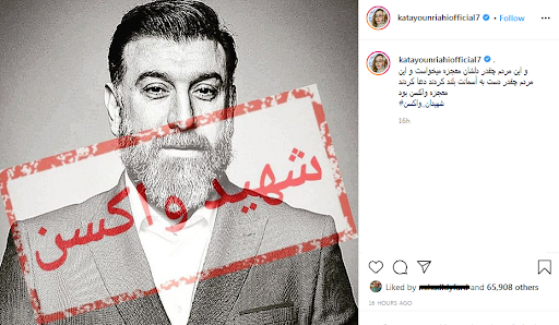 سلبریتی&zwnj;هایی که این بار دکتر شدند!/ مجریان عملیات پشه مالاریا چه کسانی هستند؟