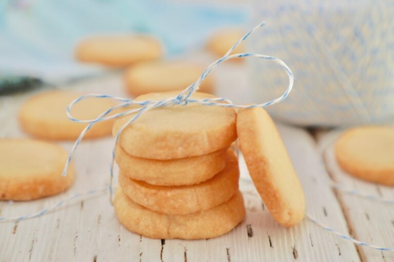 ۴ روش تهیه بیسکویت خانگی ساده و شکلاتی در فر و بدون فر + بیسکویت رژیمی