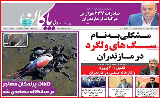 دیار پاکان