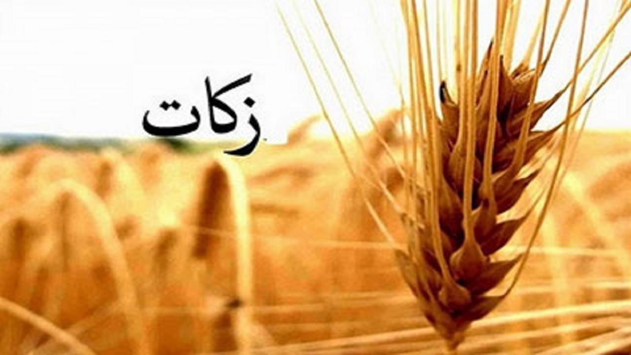 مردم میامی ۳ میلیارد تومان زکات پرداخت کردند