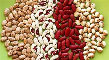 راه&zwnj;های افزایش کلاژن در بدن به طور طبیعی