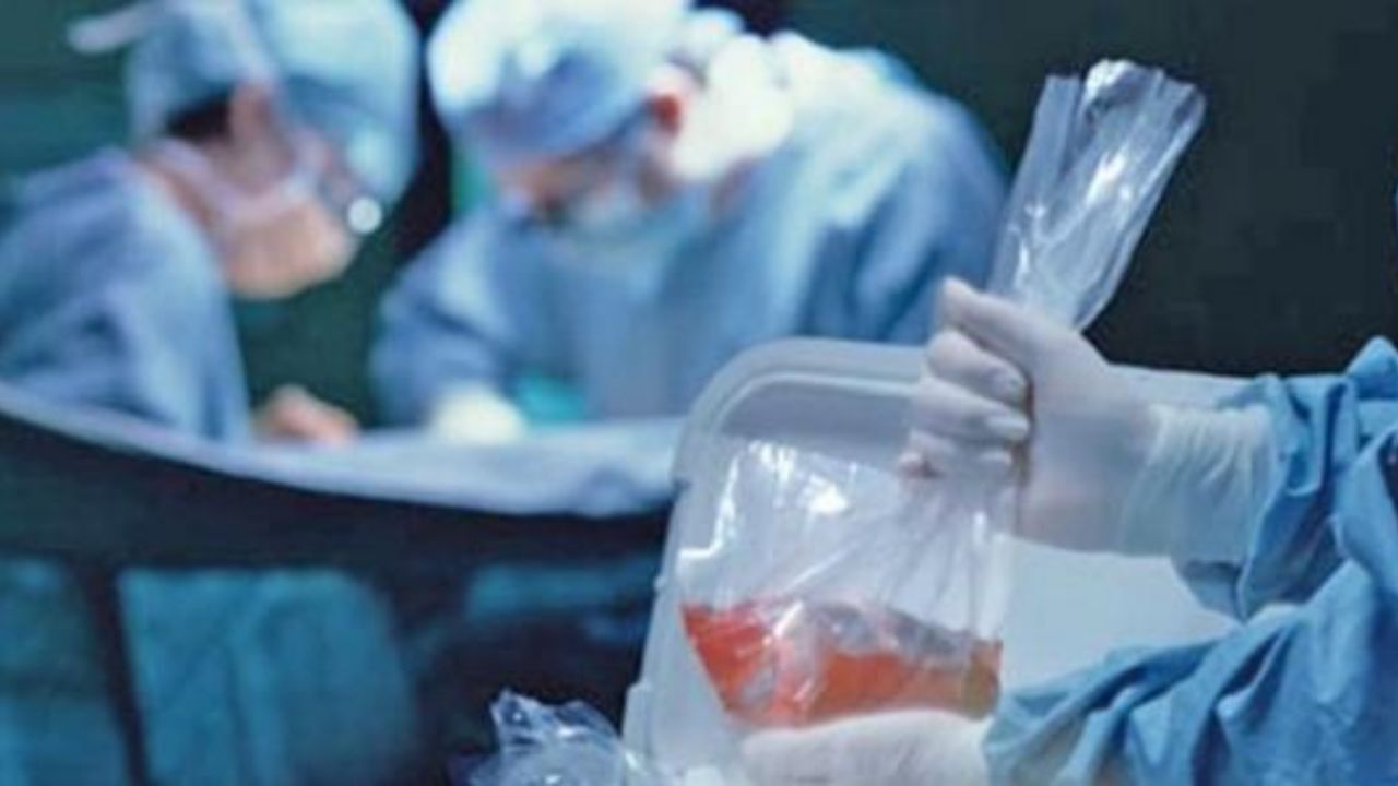 اهدای عضو در مشهد به شش بیمار زندگی دوباره بخشید