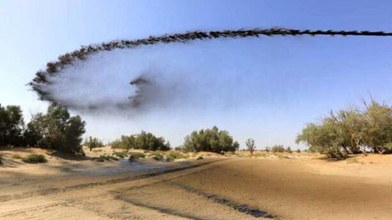۶۰ میلیارد تومان صرف مالچ پاشی در کانون‌های بحرانی زهک شد