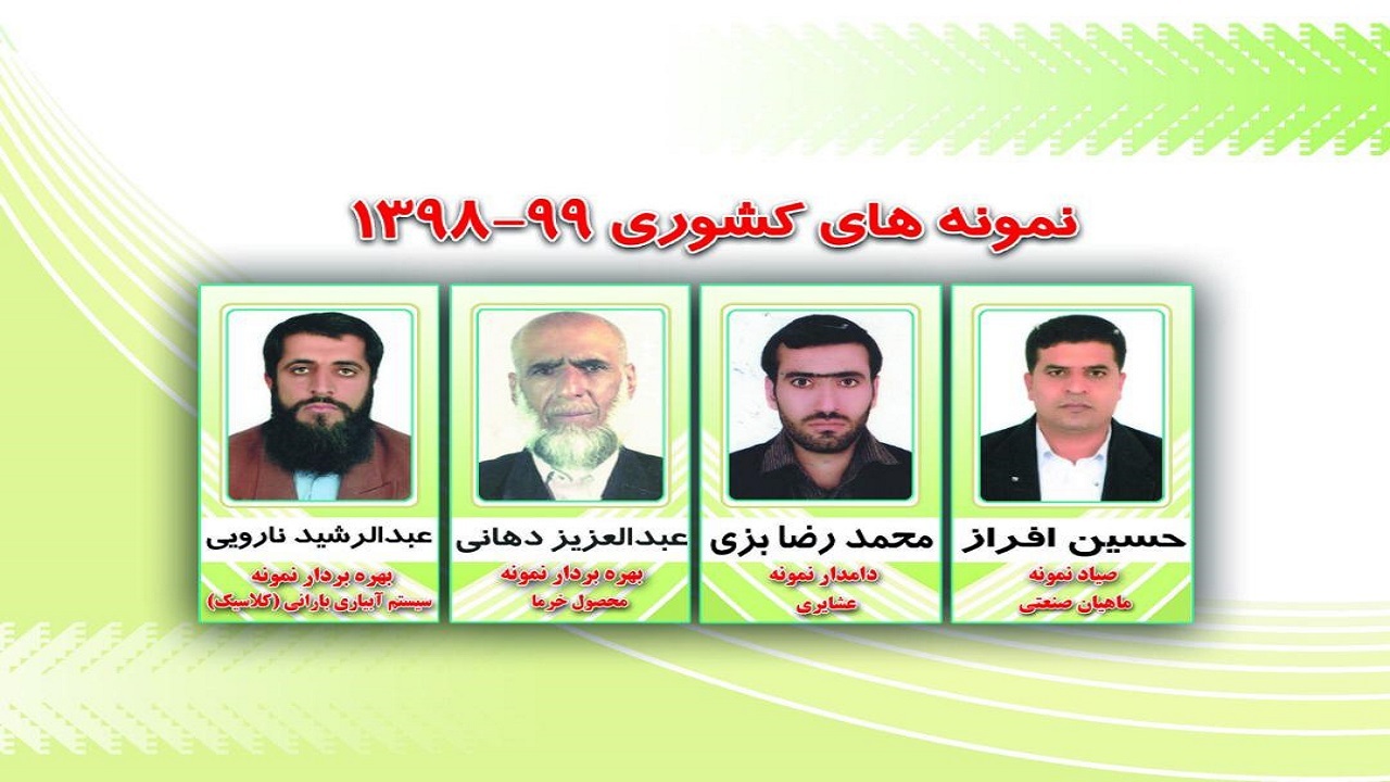 چهار بهره‌بردار بخش کشاورزی سیستان وبلوچستان حائز رتبه برتر کشوری شدند