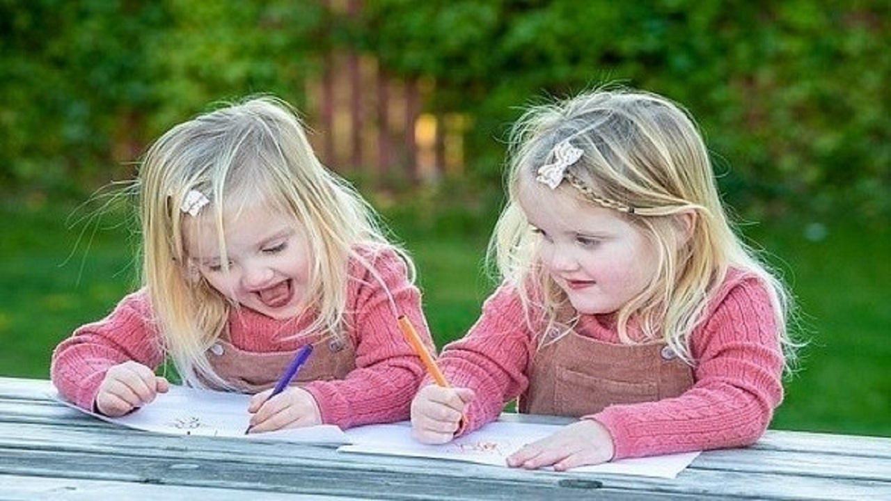 پدیده عجیب دوقلو‌های آینه ای + عکس