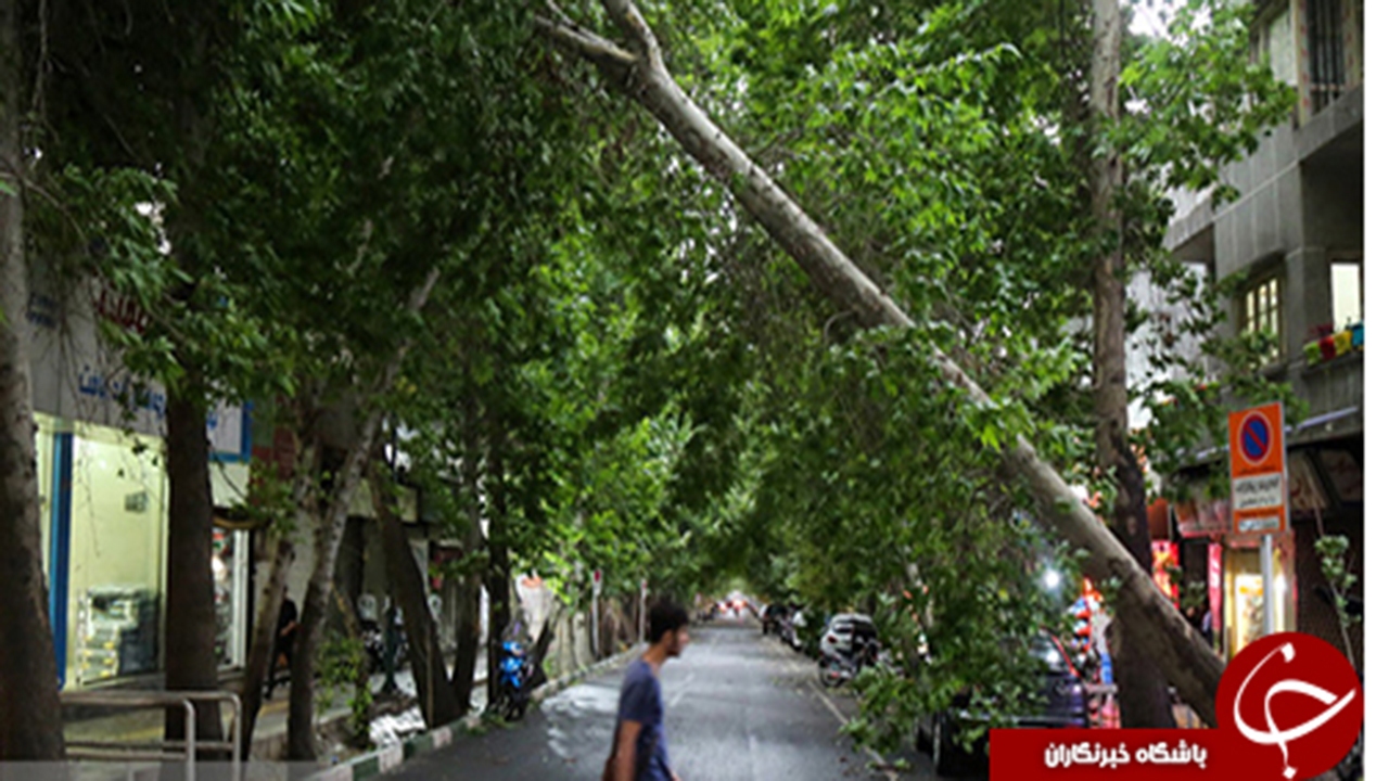 طوفان با سرعت ۱۲۹ کیلومتر در گلستان چه خسارتی برجای گذاشت؟