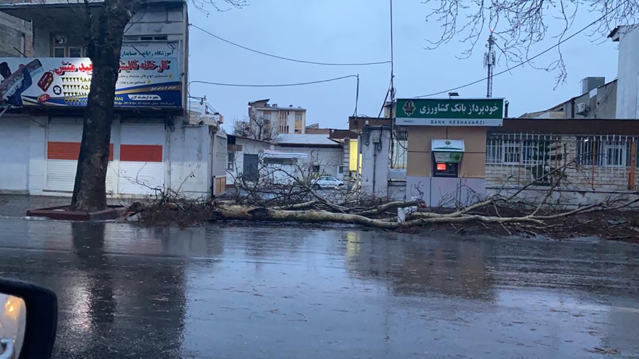 سقوط ۷۳ اصله درخت بر اثر طوفان در گرگان