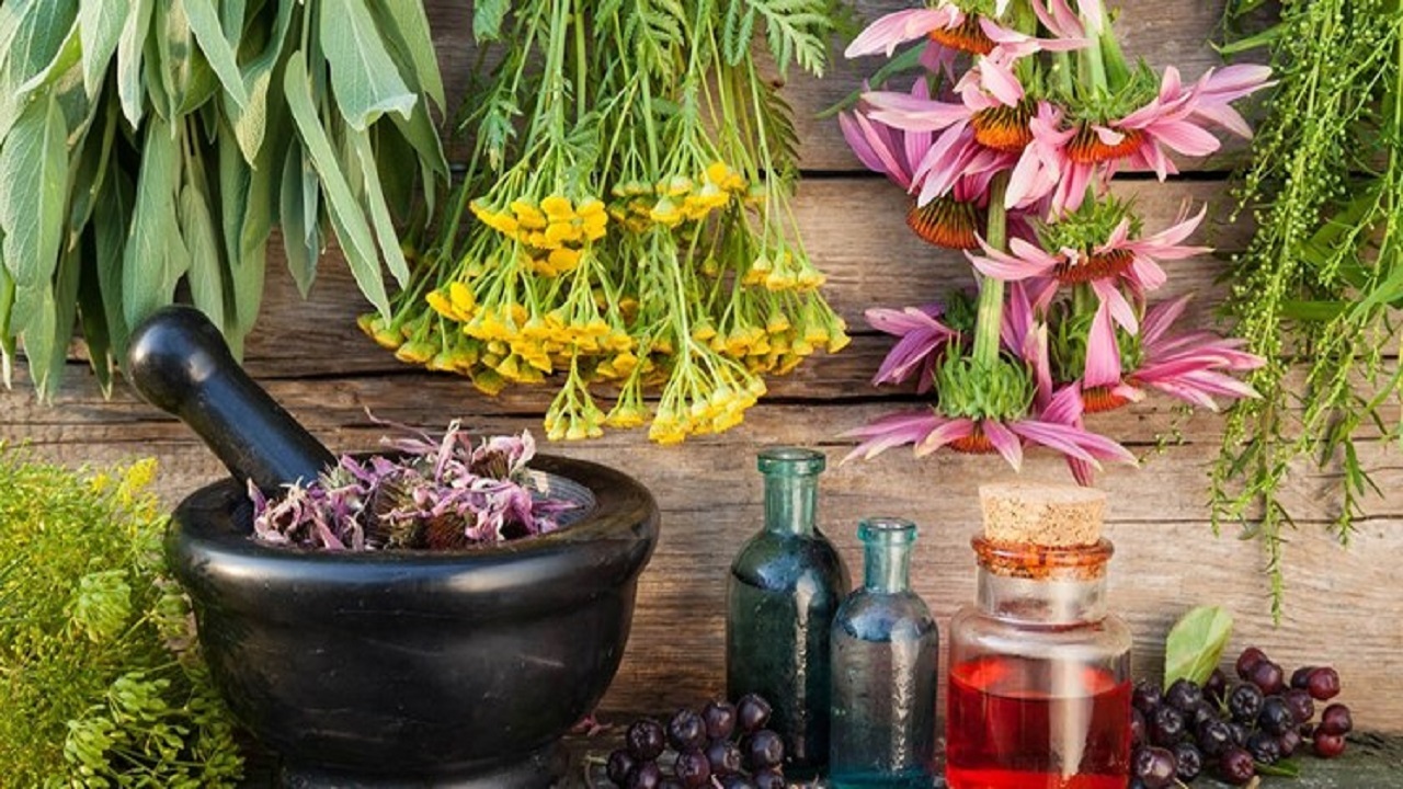 رتبه نخست استان اصفهان در کشت گیاهان دارویی کشور