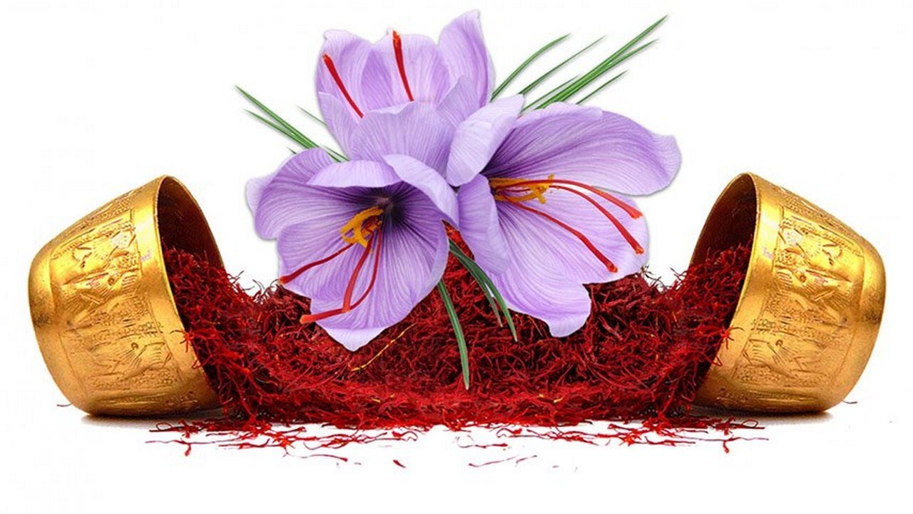 نو آفرینی این بار در زعفران