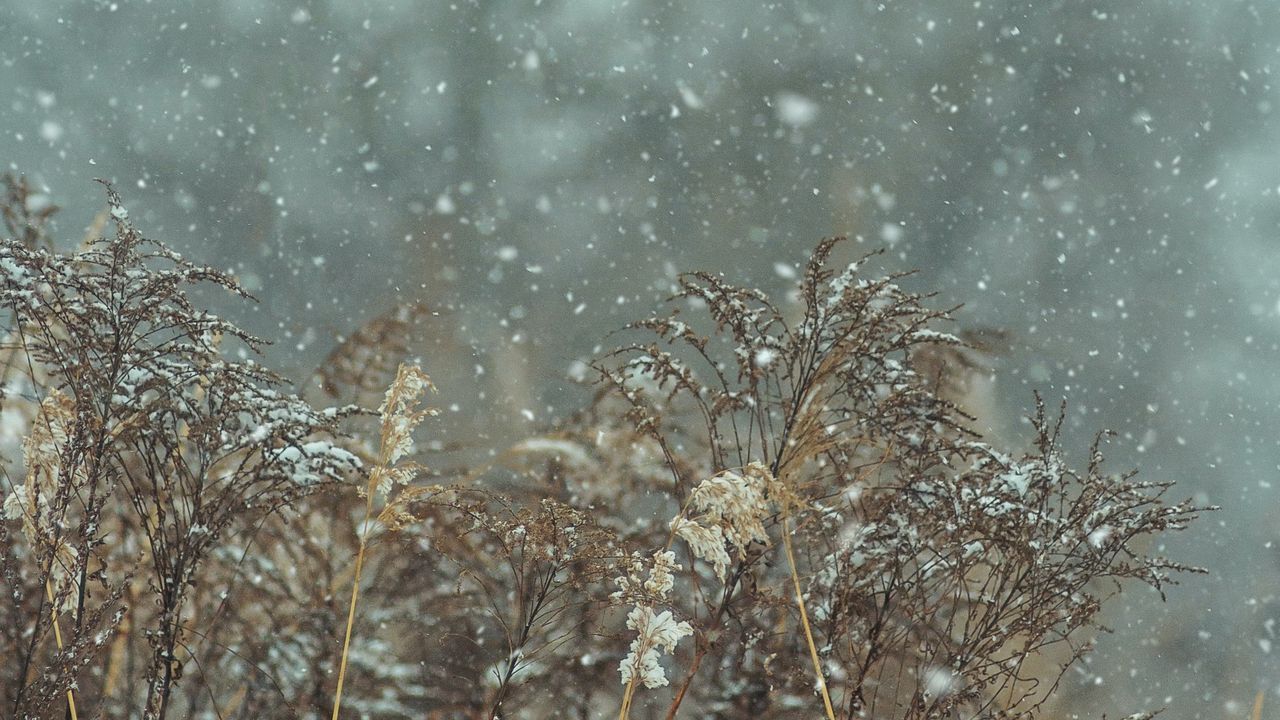 جذاب&zwnj;ترین تصاویر پس زمینه