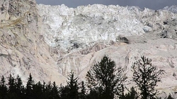 عبور دو گاومیش قانون‌‎مند از خیابان + فیلم