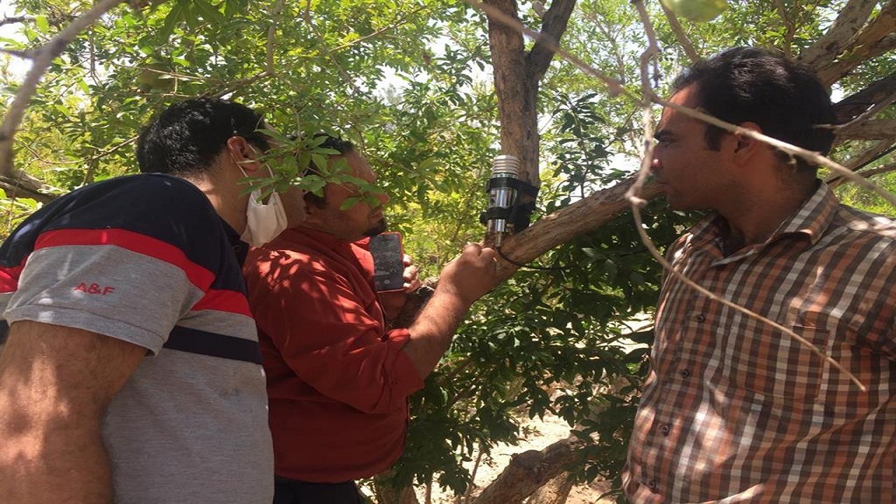 کنترل به موقع آفات گیاهی در بخش کشاورزی یزد با نصب دستگاه‌های جدید