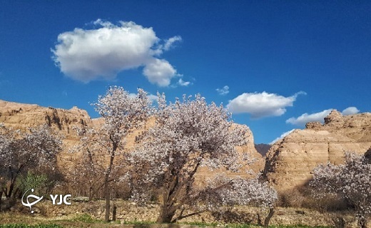 بهار در زمستانِ روستای قطرم بافق بهار در زمستانِ روستای قطرم بافق