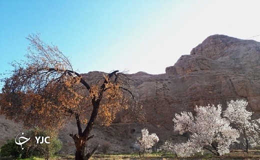 بهار در زمستانِ روستای قطرم بافق بهار در زمستانِ روستای قطرم بافق
