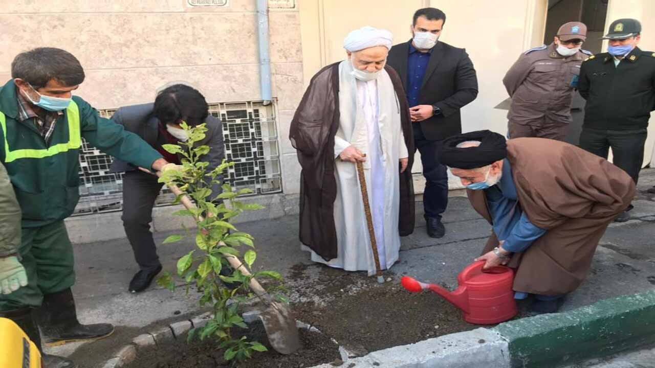 کاشت درختان نارنج در خیابان‌های مرکزی پایتخت