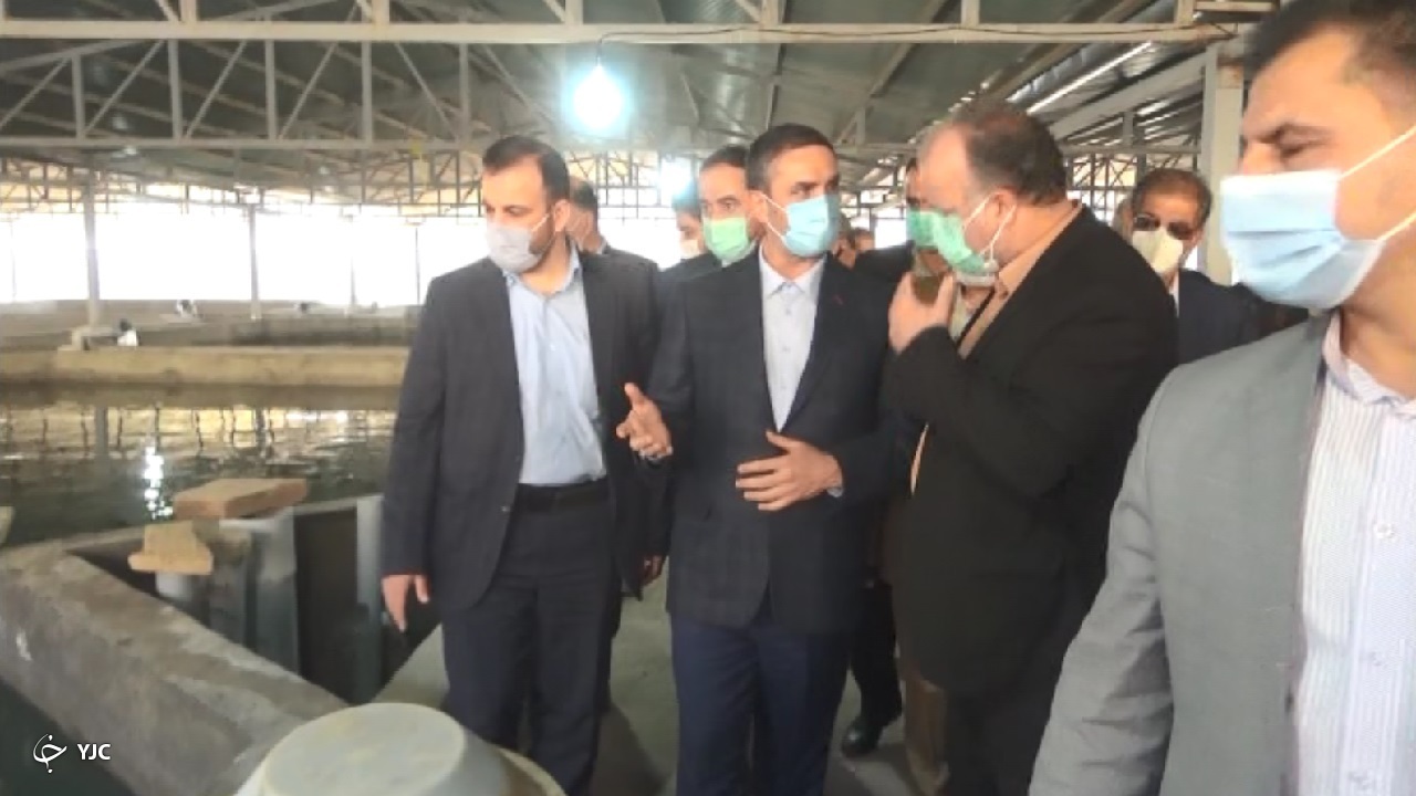 افتتاح مرکز پرورش ماهیان خاویاری در تفرش