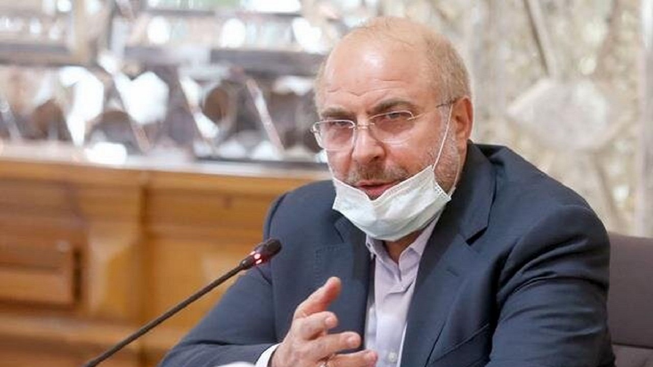 رئیس مجلس نوه دار شد