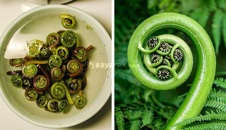 محصولات عجیب غریب که به سختی مجبور به امتحان کردن آن شده اید