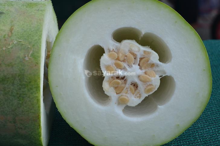 محصولات عجیب غریب که به سختی مجبور به امتحان کردن آن شده اید