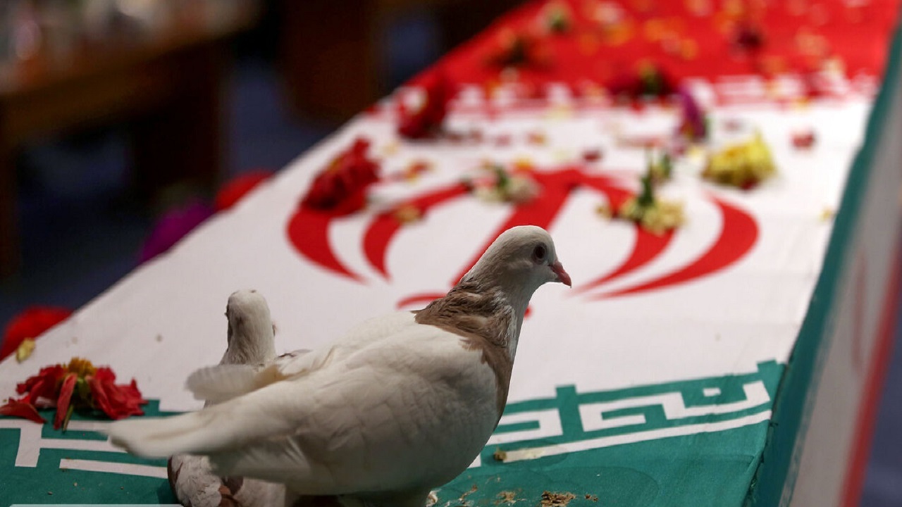 پیکر شهید محمد یار محمودی شناسایی شد
