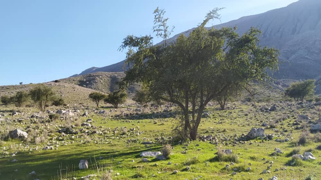 طبیعت زیبای روستای کاسکان در کازرون + فیلم و تصاویر