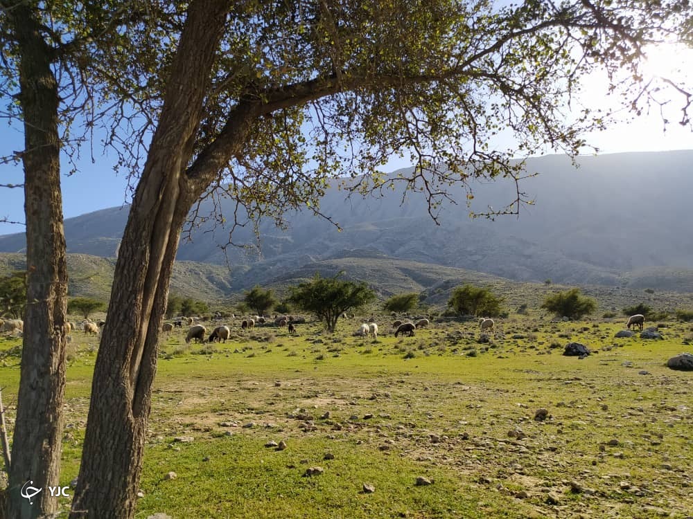 طبیعت روستای کاسکان در کازرون 
