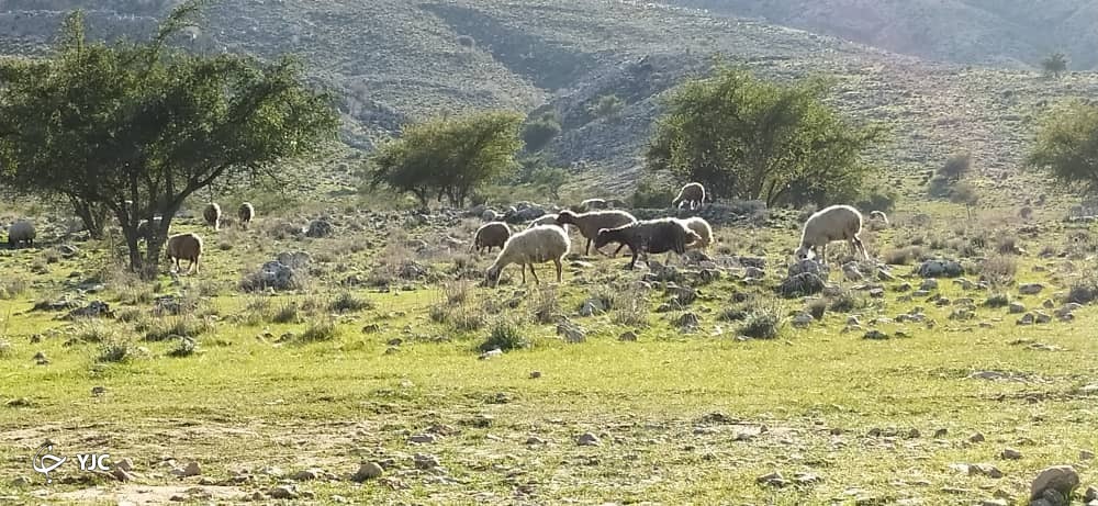روستای کاسکان در کازرون 