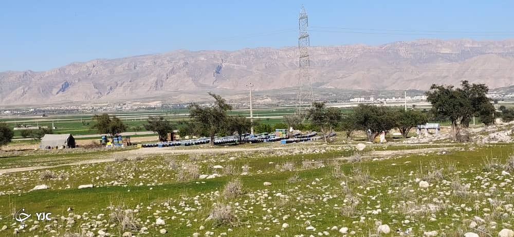 کندوی زنبور عسل در کوه