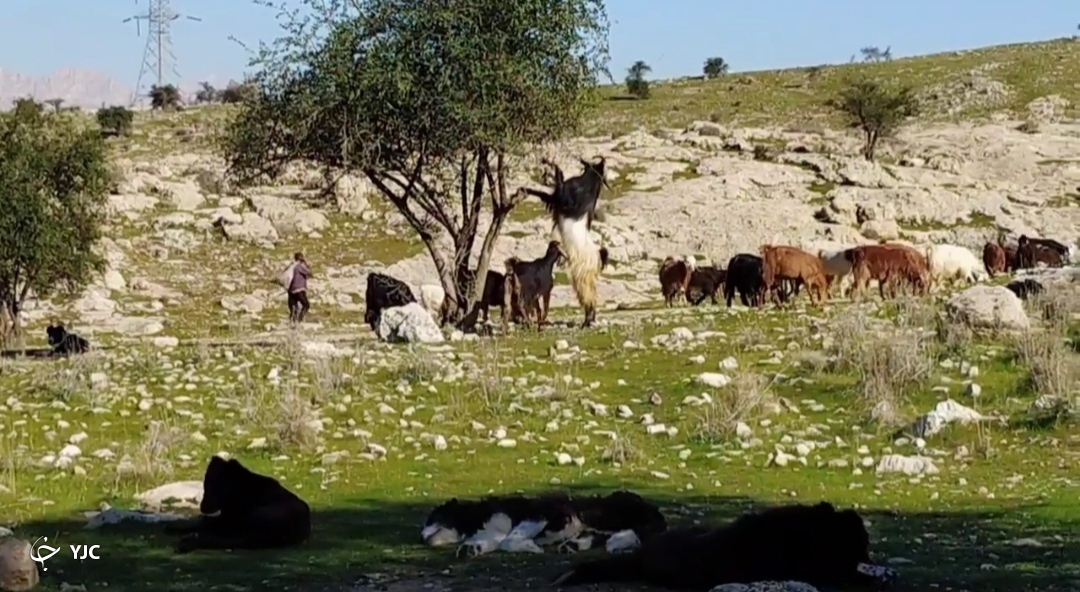 طبیعت زیبای روستای کاسکان 