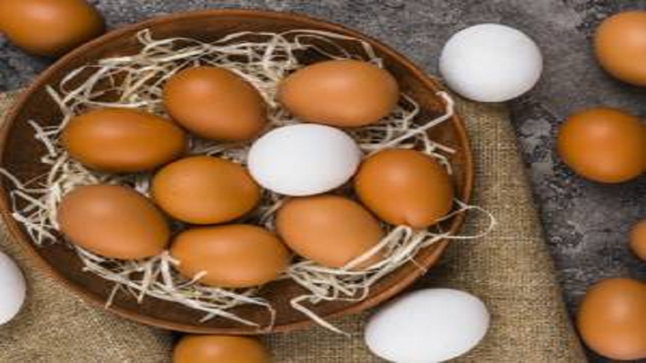 فروش تخم مرغ بیش از ۳۳ هزار تومان ممنوع
