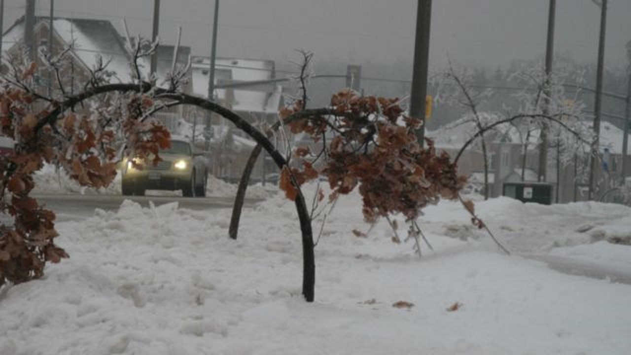 قطعی برق گسترده در تگزاس بر اثر توفان