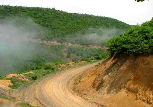 قلب سبز روستای رپی را با جاده سازی به غارت نبرید/ سبزی جنگل&zwnj;های رپی با احداث جاده رنگ می&zwnj;بازد/
