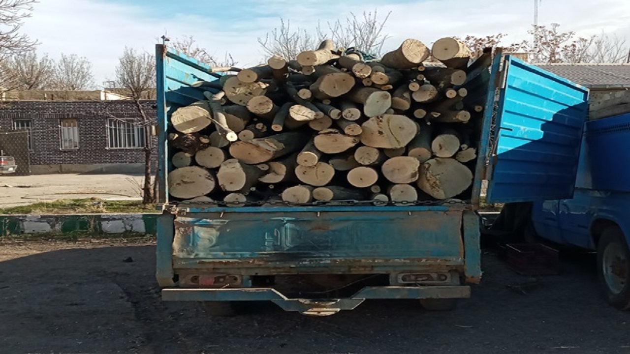 کشف بیش از ۳ تن چوب آلات هیزمی جنگلی در اردبیل