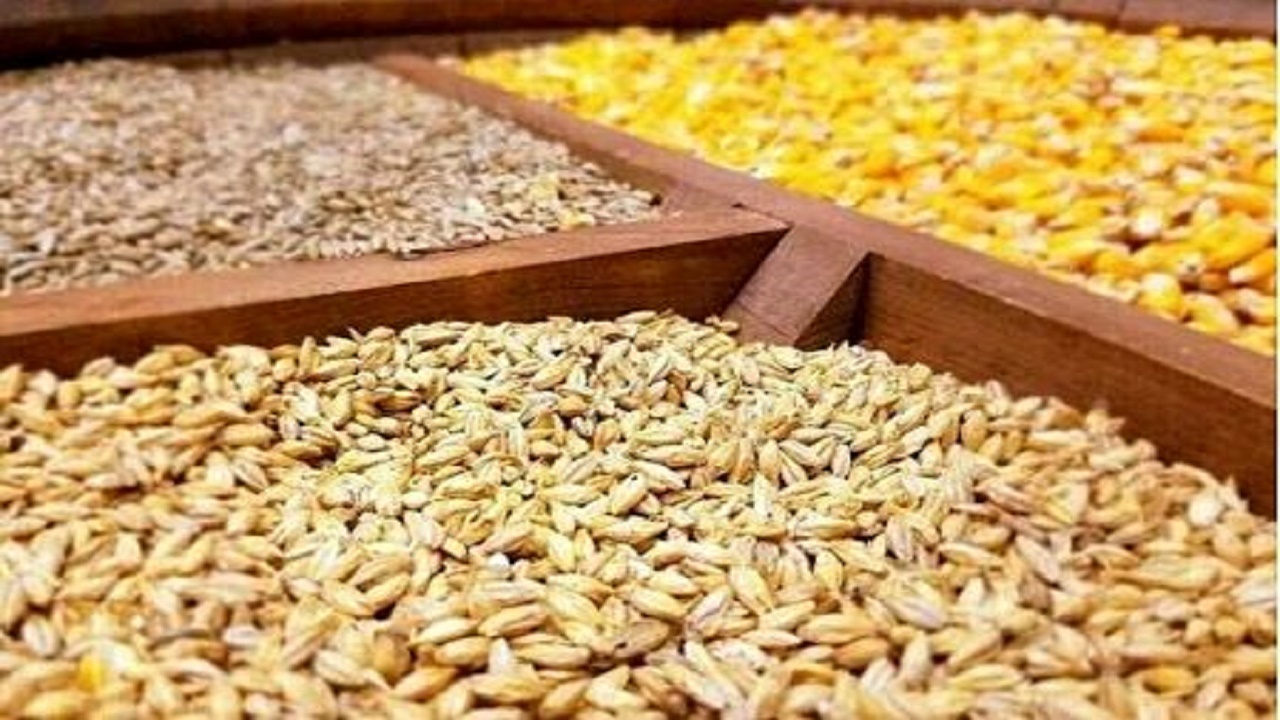 خواب متخلفان عرضه نهاده‌های کشاورزی آشفته شد