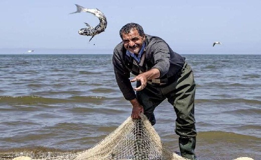 کاهش صید ماهی از دریای خزر در سایه بی توجهی