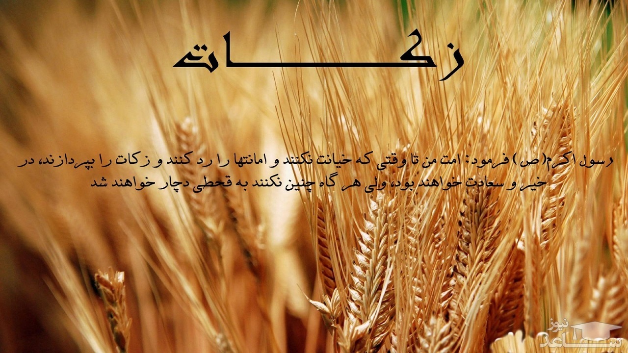جمع آوری ۱۲۰ میلیارد ریال زکات در چهارمحال و بختیاری
