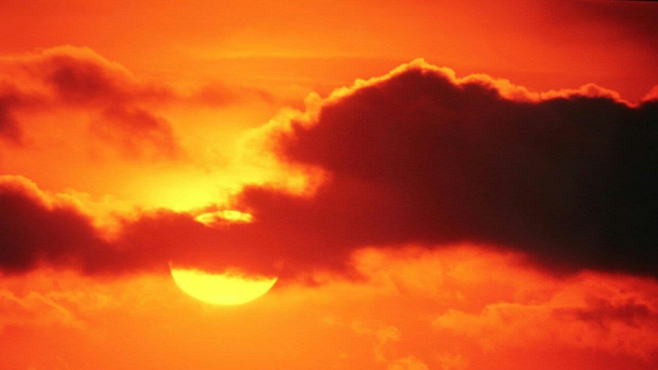 دانستنی‌های جالب از روانشناسی رنگ نارنجی