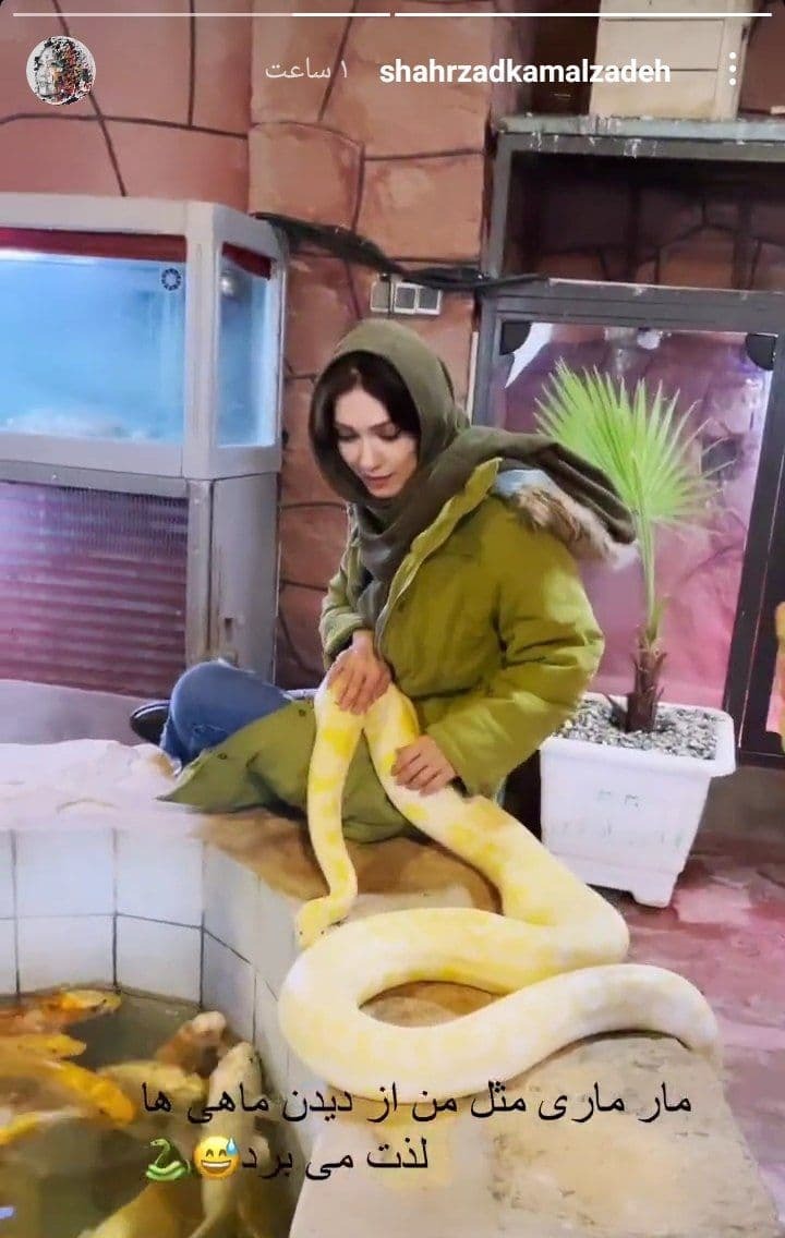 استوری شهرزاد کمال زاده
