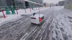 شترهای متعجب میان برف شدید عربستان + فیلم