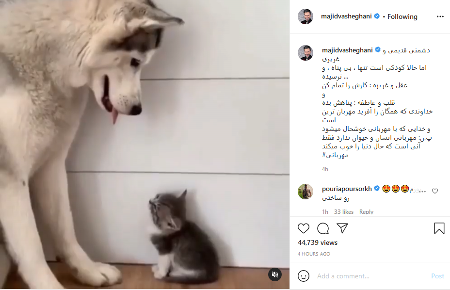       مجید واشقانی 