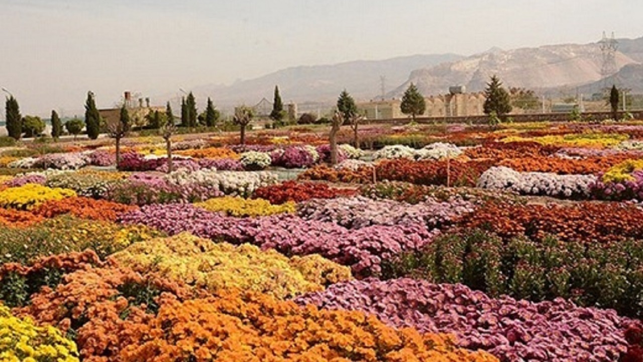 ظرفیت بالای گل و گیاه محلات و نیاز به خوشه تولید